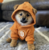 Dog (Bitcoin)（DOG）价格