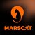 Marscat Token（MCAT）今日价格